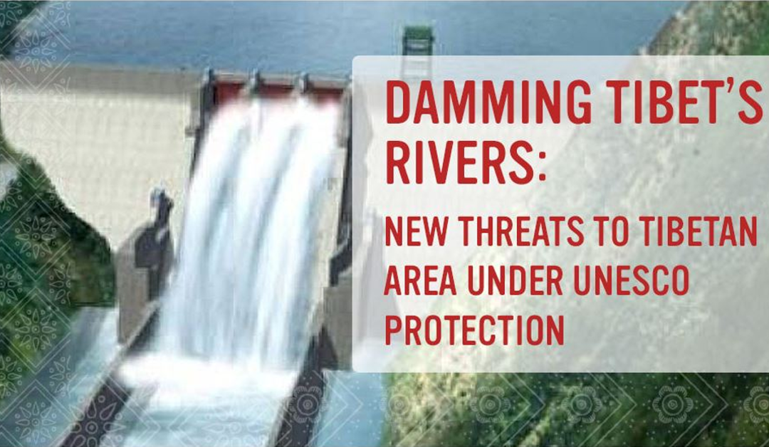 Damming Tibets Rivers Cover