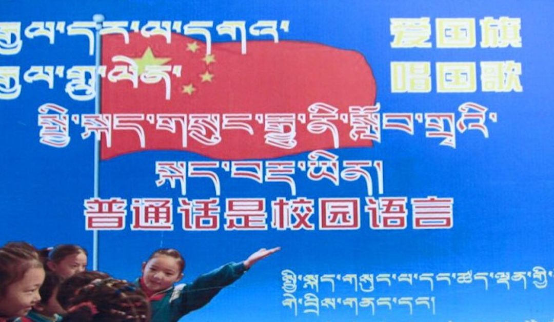 HRW Bericht Cover 1200×628 Tibettimes.net