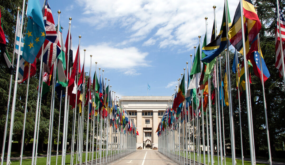 United Nations Flags 1200×628 2 Tom Page CC BY SA 2.0