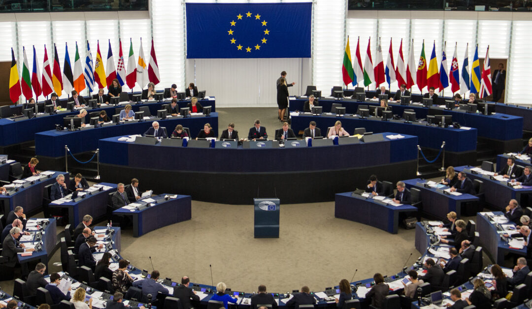European Parliament 1200×628 Strasbourg 2015 10 28 02 Mehr Demokratie CC BY SA 2.0