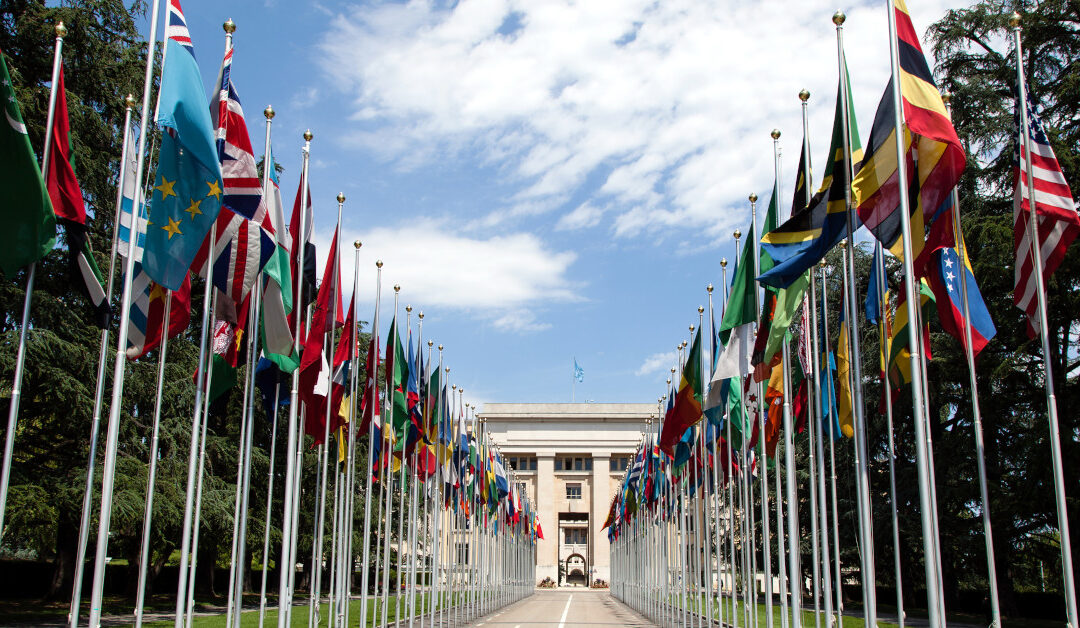 United Nations Flags 1200×628 1 Tom Page CC BY SA 2.0