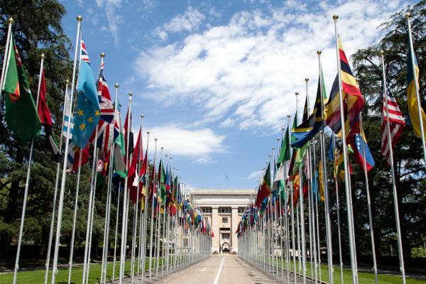 United Nations Flags 600×400 Tom Page CC BY SA 2.0